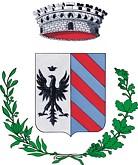 COMUNE DI FILAGO Provincia di Bergamo REGOLAMENTO DELLA COMMISSIONE COMUNALE PER