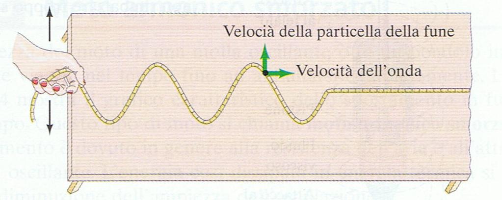 Onda Trasversali Diremo che un onda è trasversale se lo spostamento di ogni