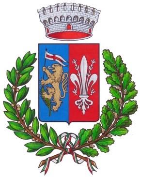 Comune di Castelfranco Piandiscò Provincia di Arezzo CARTA DEI SERVIZI