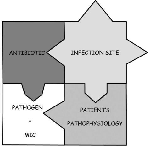 TERAPIA ANTIBIOTICA EMPIRICA APPROPRIATA?