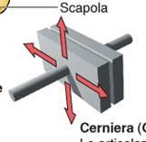 Immagini tratte da: