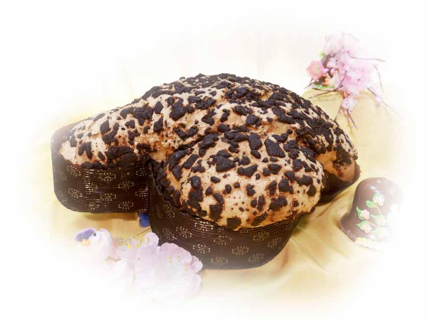 CIOCCOLATO, Incarto neutro Colomba artigianale bassa glassata rivestita di cioccolato con all interno uva sultanina e una grande quantità di gocce di cioccolato