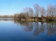 A metà tra Martellago e Maerne si trova il Parco dei Laghetti,