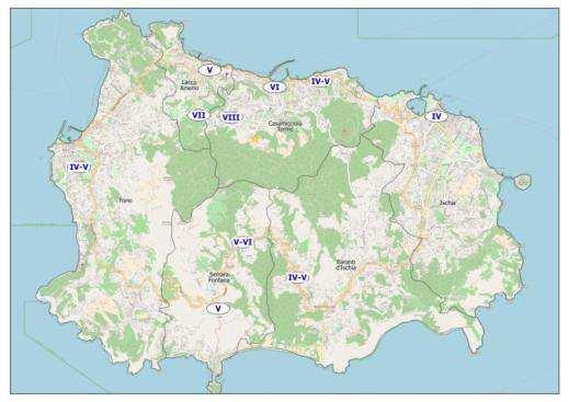 RAPPORTO ANALISI CRITICA DELLE TIPOLOGIA, DEL DANNO E DEI MECCANISMI DI COLLASSO IN OCCASIONE DEL SISMA DI CASAMICCIOLA DEL 21 AGOSTO 2017 Missione Centro Studi Plinivs del 23.08.