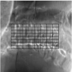 TRACKING Calculates global rigid rototraslations around