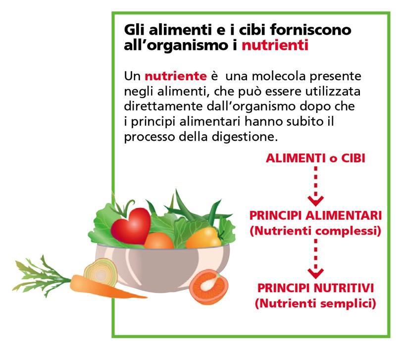 Principi nutritivi I principi nutritivi si possono dividere in composti organici e composti inorganici: COMPOSTI ORGANICI 1.