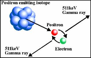 IL POSITRONE L emissione di positroni è una forma di radioattività, in cui un protone all interno di un nucleo atomico è trasformato in un neutrone.