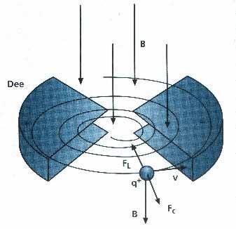 IL CAMPO MAGNETICO B: Una carica in movimento posta in un campo magnetico uniforme B è sottoposta alla forza di Lorentz: F L = qv