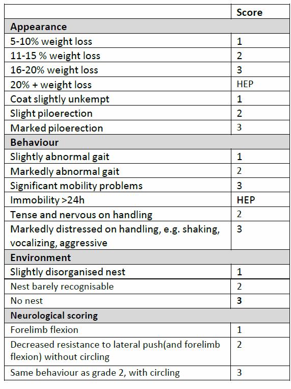 Assessment system for indicators in Stroke clinical score