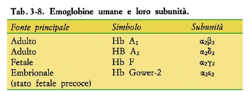 La catena γ presenta una ser al posto di una his in posizione 143, l HbF ha quindi 2 cariche+ in meno nella