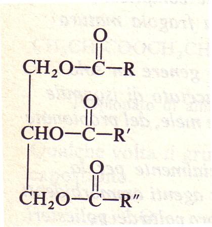grassi e gli oli sono esteri di