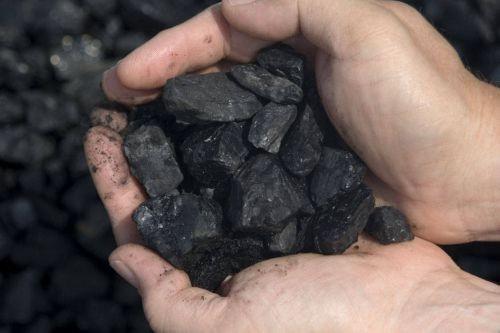 IL CARBONE Il carbone si è formato dai resti vegetali che sono stati compressi, alterati chimicamente e trasformati dal calore e dalla pressione in tempi geologici.