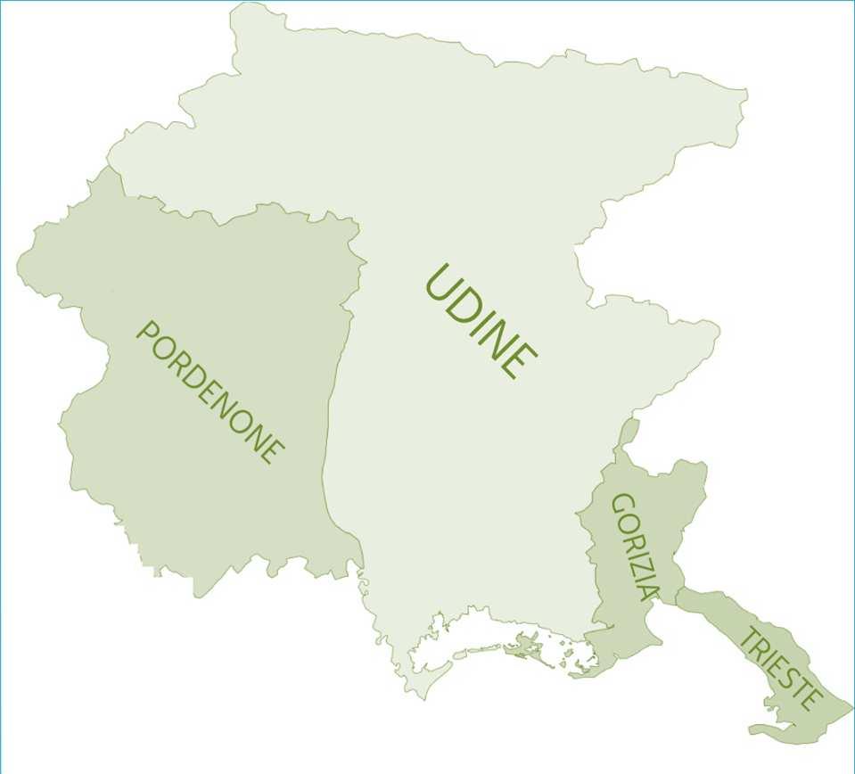 L Agenzia sul territorio regionale 5 Hub centri di coordinamento Giuliano Isontino Pordenonese Udine e Bassa Friulana Medio e Alto Friuli 18 Centri per l Impiego Trieste Udine Cividale del Friuli