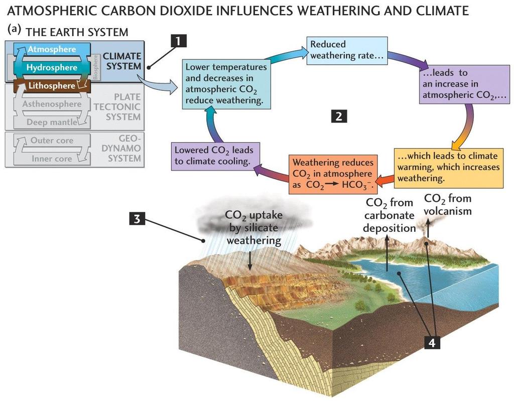 1 La degradazione delle rocce: interazione litosfera e clima 3 La degradazione dei silicati rimuove CO 2 dall atmosfera 2 La variabilità