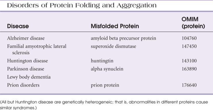Il misfolding delle proteine ne causa la