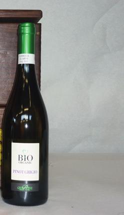 grappoli uva Bellavista Brut