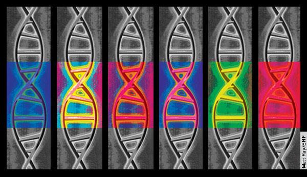 Epigenetica Il merito per avere coniato, nel 1942, il termine epigenetica, definita come "la branca della biologia che studia le