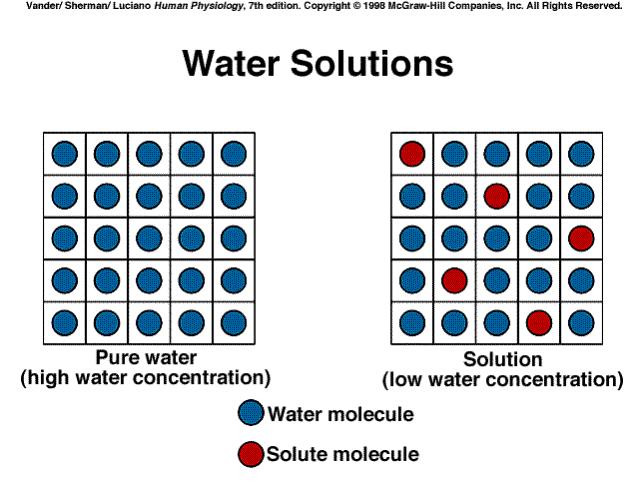 La concentrazione dell acqua è alterabile addizionando soluto ad una soluzione acquosa (1) (2) La concentrazione dell acqua è tanto maggiore quanto più diluita è la soluzione.