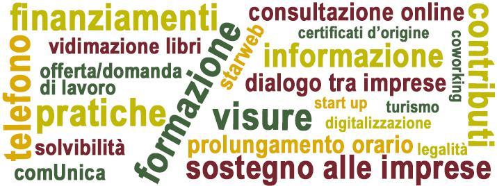 I commenti Il questionario si compone anche di una parte lasciata libera per eventuali commenti. Sono stati 131 gli utenti che hanno lasciato il proprio commento, il 13,9% del totale.