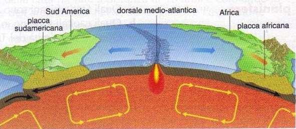 Formazione di una dorsale Movimenti convettivi che provocano il movimento delle placche continentali e la fuoriuscita di magma dalle dorsali oceaniche: