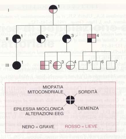 Medica, Masson 1993 MERRF: eterogeneità fenotipica