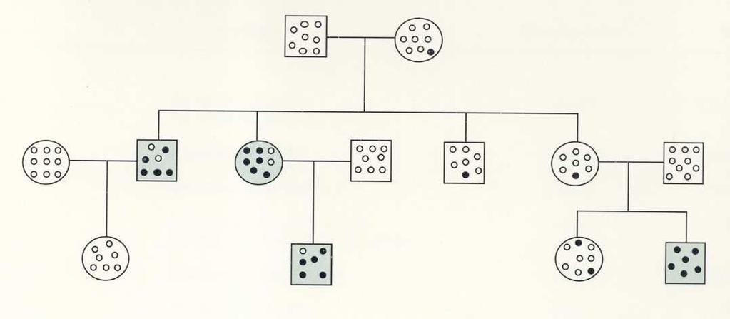 La sonda per SRY è un mix di sequenze locus specifiche (in rosso).