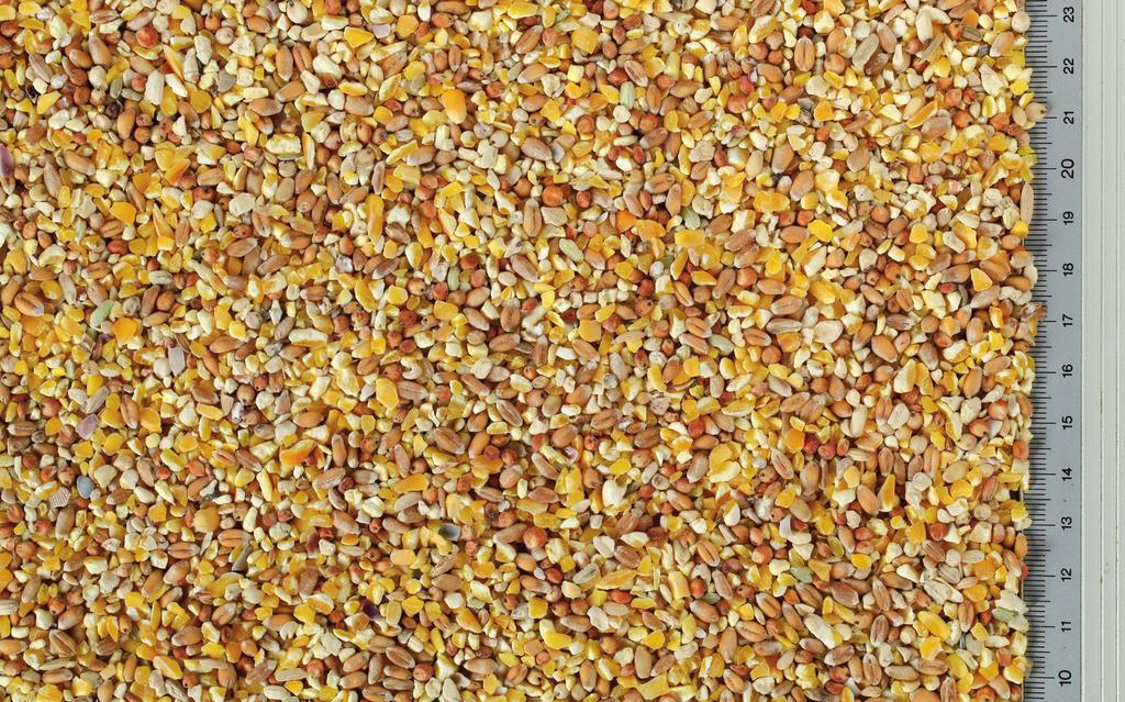 Becco Mix Becco Mix è una miscela di cereali della linea Nostrale Misti e Granaglie composta da granoturco spezzato, frumento, sorgo e riso a grana verde con l aggiunta di conchiglie marine ed olio