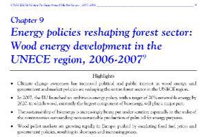 Consumi di biomasse a foni energetici in Trentino, espressi in tonnellate 1999 (ENEA): Regione: 417.151 t PATN (stima) 213.581 t 2006 (ARPA-APAT): Regione 440.895 t PATN (stima) 225.