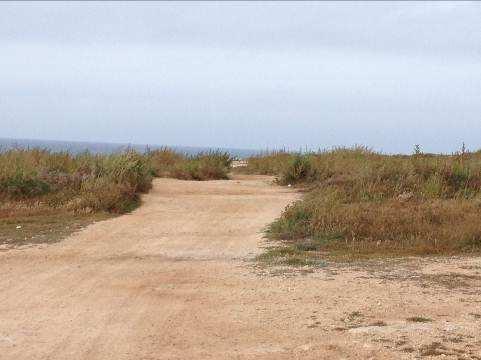 Stato del fondo: sterrato Lunghezza: 0,75 km circa Percorribilità