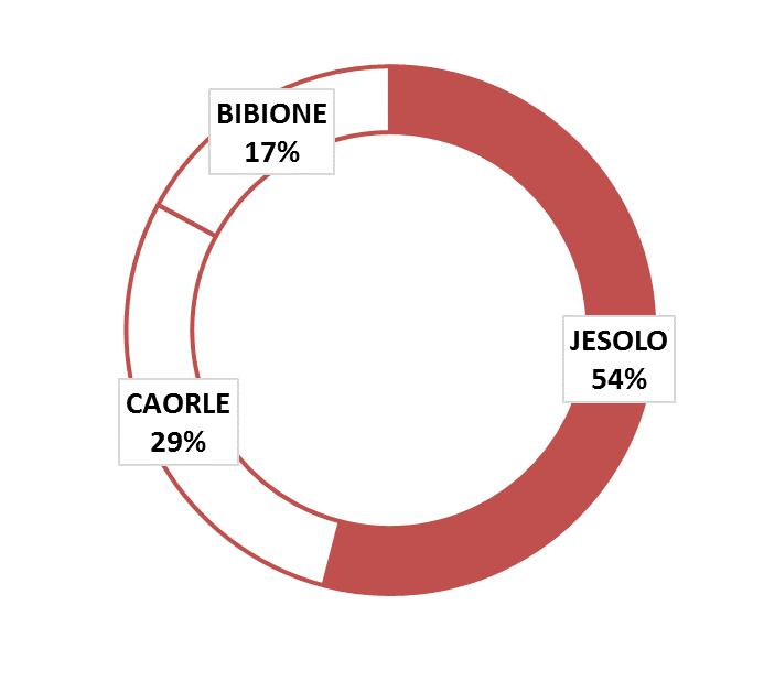 3. DESCRIZIONE DEL CAMPIONE Costruzione del campione e distribuzione per ambito Grazie alla collaborazione dei soggetti promotori e degli albergatori, sono stati raccolti i dati di bilancio e i dati