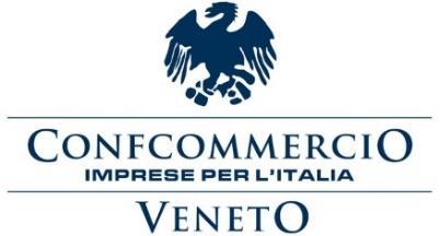 1. INTRODUZIONE Finalità del lavoro Fidi Impresa & Turismo Veneto e la Camera di Commercio di Venezia Rovigo Delta Lagunare all interno delle attività svolte a supporto del settore alberghiero, hanno