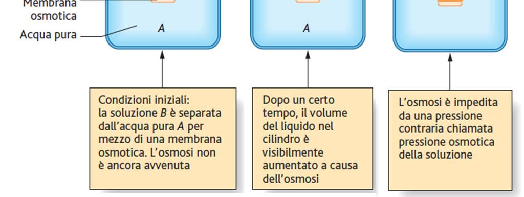 Osmotica