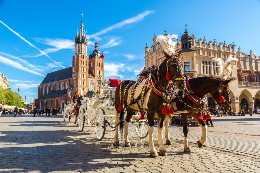 MINITOUR POLONIA MINIMO 25 PARTECIPANTI VARSAVIA CZESTOCHOWA CRACOVIA MINIERE DI SALE AUSCHWITZ Euro 689.