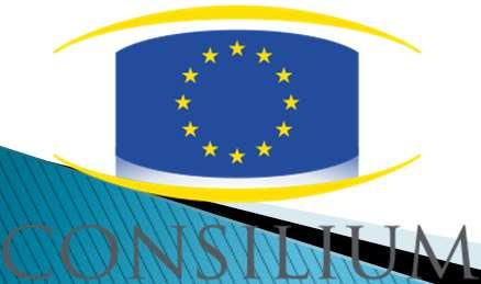 Consiglio europeo elabora linee guida