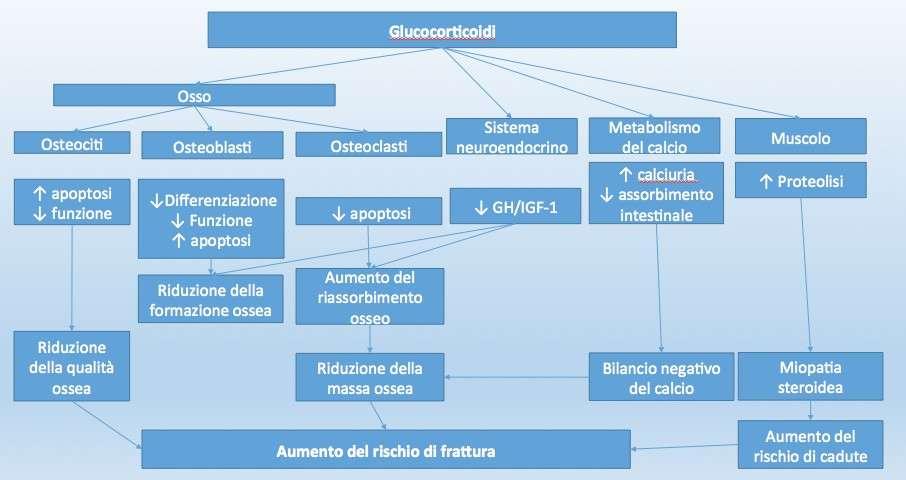 Figura 1 DIAGNOSI Figura 1 Fisiopatologia dell osteoporosi indotta da glococorticoidi (modificato da Canalis E, Mazziotti G, Giustina A, et al.