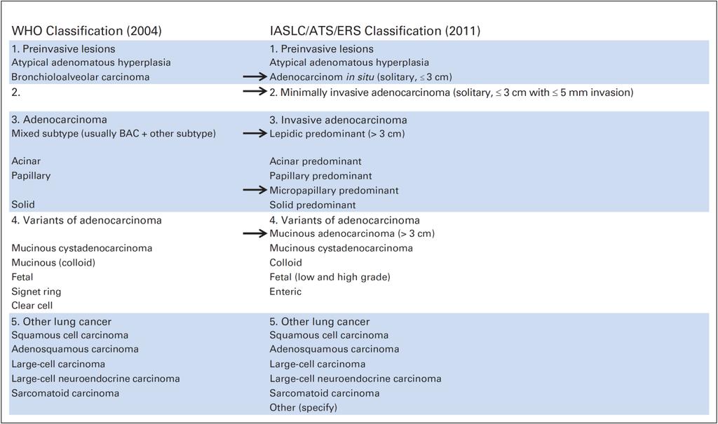 Nota in calce Nel 2011 le società scientifiche International Association for the Study of Lung Cancer / American Thoracic Society / European Respiratory Society hanno proposto una revisione della