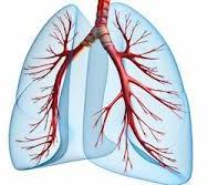 B (BREATHING) valutazione del respiro Come anticipato al punto A, solo in caso di acclarato stato di incoscienza, questa valutazione verrà fatta in modo veloce, guardando attentamente il torace