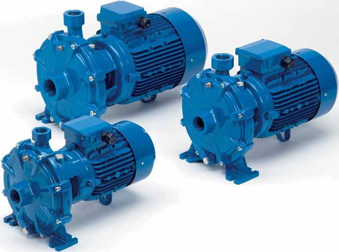 TWIN IMPELLER ENTRIFUGL PUMPS M G N 1 DN DIMENSIONI E PESI - DIMENSIONS ND WEIGTS F E D DIMENSIONI mm - DIMENSIONS mm DIMENSIONI DIMENSIONS mm P Peso Weight D E F G 1 N DN P L Kg M /1 /1 17 1 5 75 17