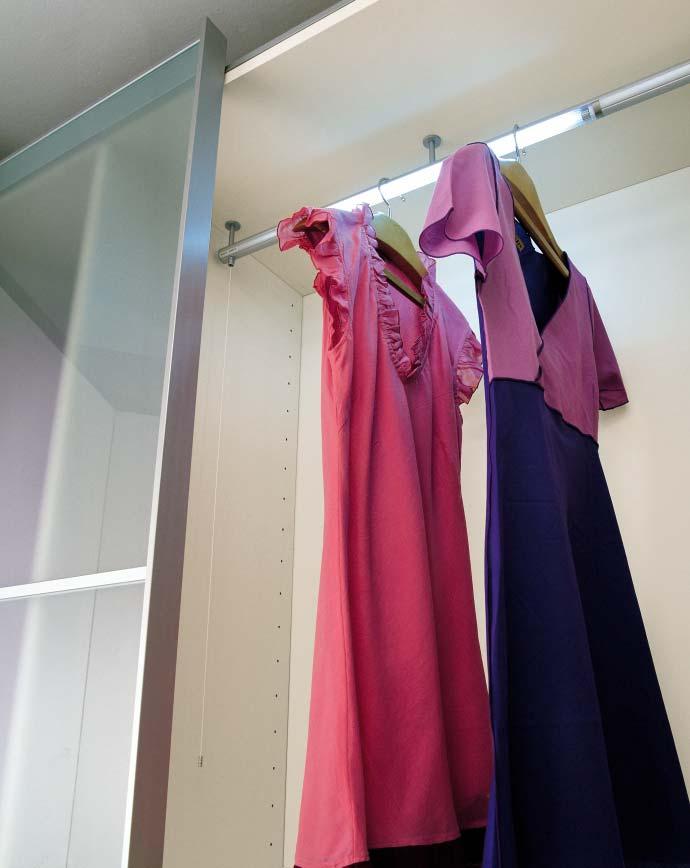 La serie Dress prevede per tutte le tipologie di armadi cassettiere interne e ripiani bianchi (finitura melamminica) da spessore 3,5 cm.