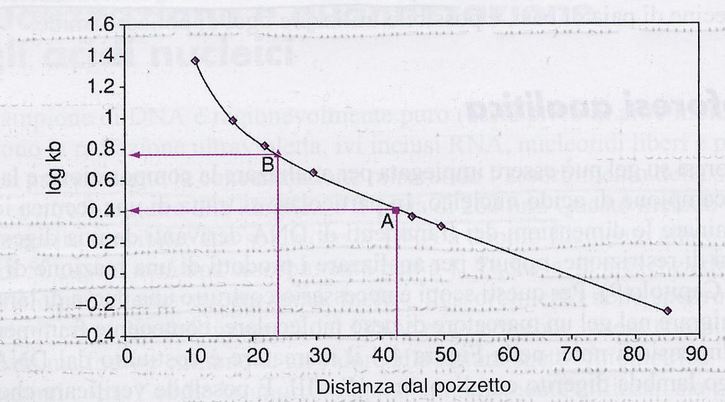 dimensione nota (M) posso interpolare la