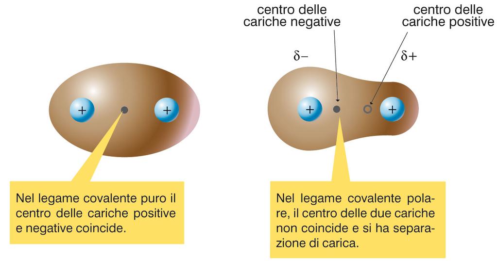 IL LEGAME COVALENTE POLARE! Se gli atomi sono diversi, gli elettroni si disporranno in maniera.