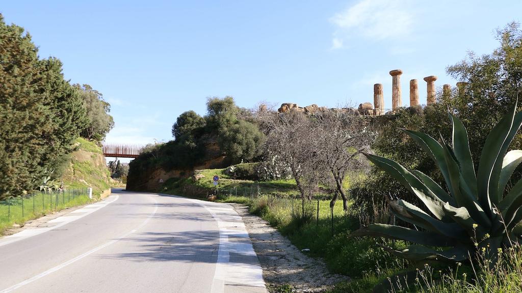 del parco, restituendo al visitatore la percezione di questo come elemento unico ed organico.