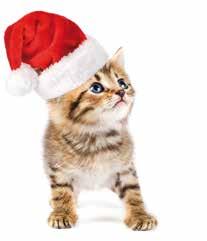 offerte valide dal 14 dicembre 2017 al 10 gennaio 2018 CAT CHOW SPECIALITÀ gatti adulti disponibile nelle varianti urinary, hairball, sterilized, 3in1 e