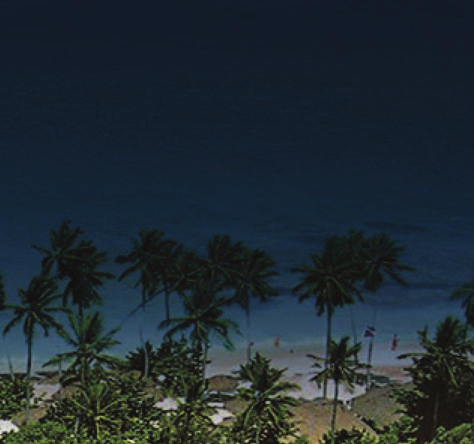 Un paradiso nel Mar dei Caraibi fatto di palme, sabbia bianca e mare turchese.
