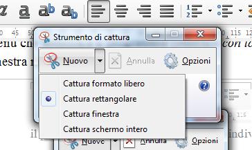 di cattura Lo schermo appare come se fosse annebbiato e il cursore diventa a forma di croce: disegnamo ora una