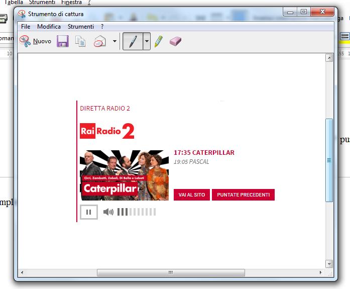 Immagine 12: La porzione di schermo catturata, all'interno della finestra del programma Possiamo ora eventualmente aggiungere note scrivendo con lo strumento penna o anche evidenziare parti