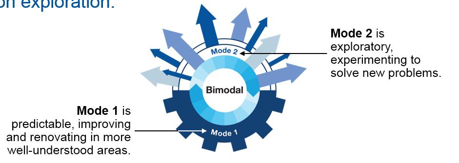 Approccio bimodale L approccio bimodale prevede la capacità di gestire 2 diversi stili di lavoro: uno focalizzato sulla stabilità, l altro sull innovazione.