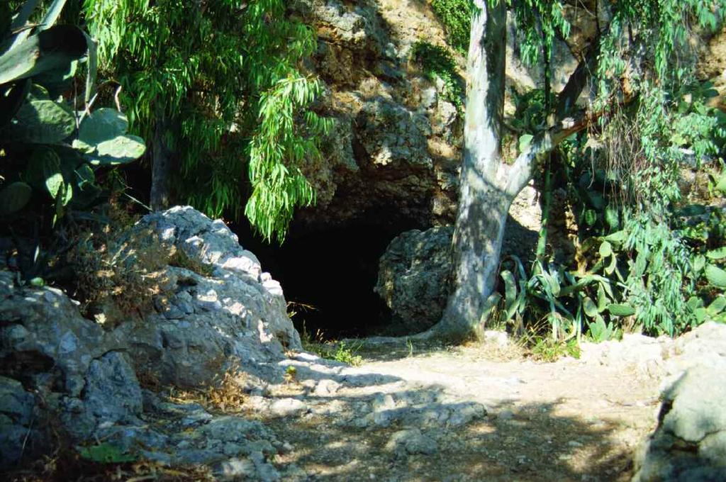 39 Fig. 13 - Grotta del Capelvenere, l ingresso (E. Vacca e A. Todero). Grotta Santa Maria d Agnano, Ostuni.