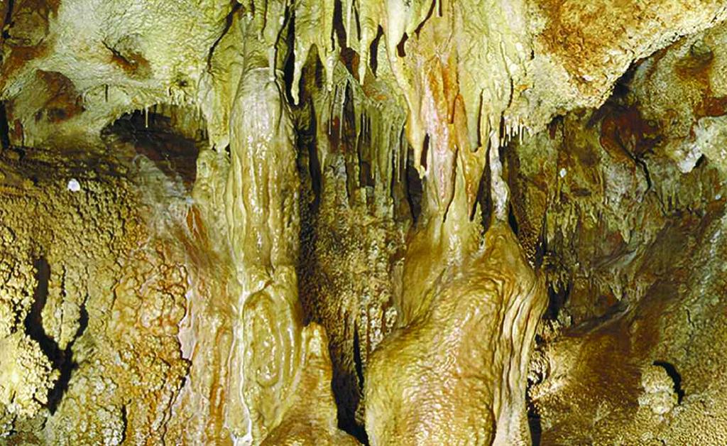 42 Fig. 16 - Grotta Lamalunga, l Abside ossia il termine del recesso in cui sono contenuti i resti umani fotopanoramica (120 circa) (Soprintendenza Archeologica della Puglia - Università di Bari).