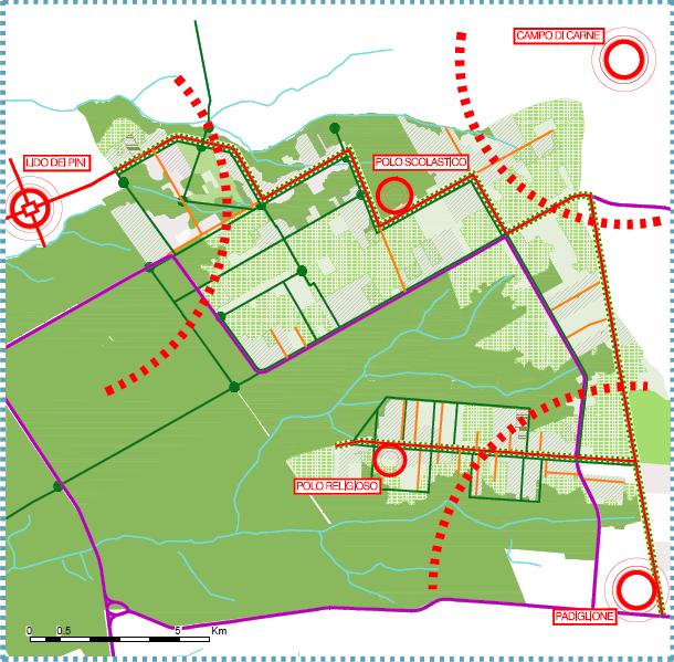 STUDIO PRELIMINARE PER I PIANI DI RECUPERO Lido dei Pini Campo di Carne